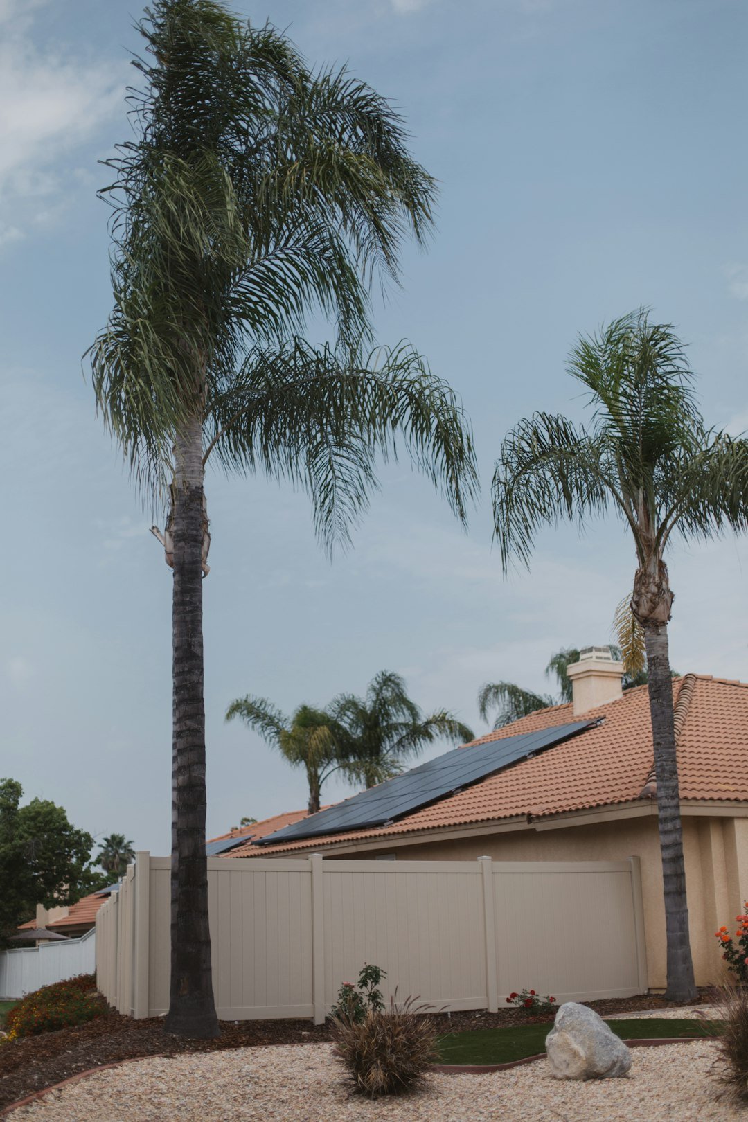 Home Vivint Solar - Solar Panels on terra cotta roof with palm trees in a tropical paradise like Florida, California, or Hawaii.