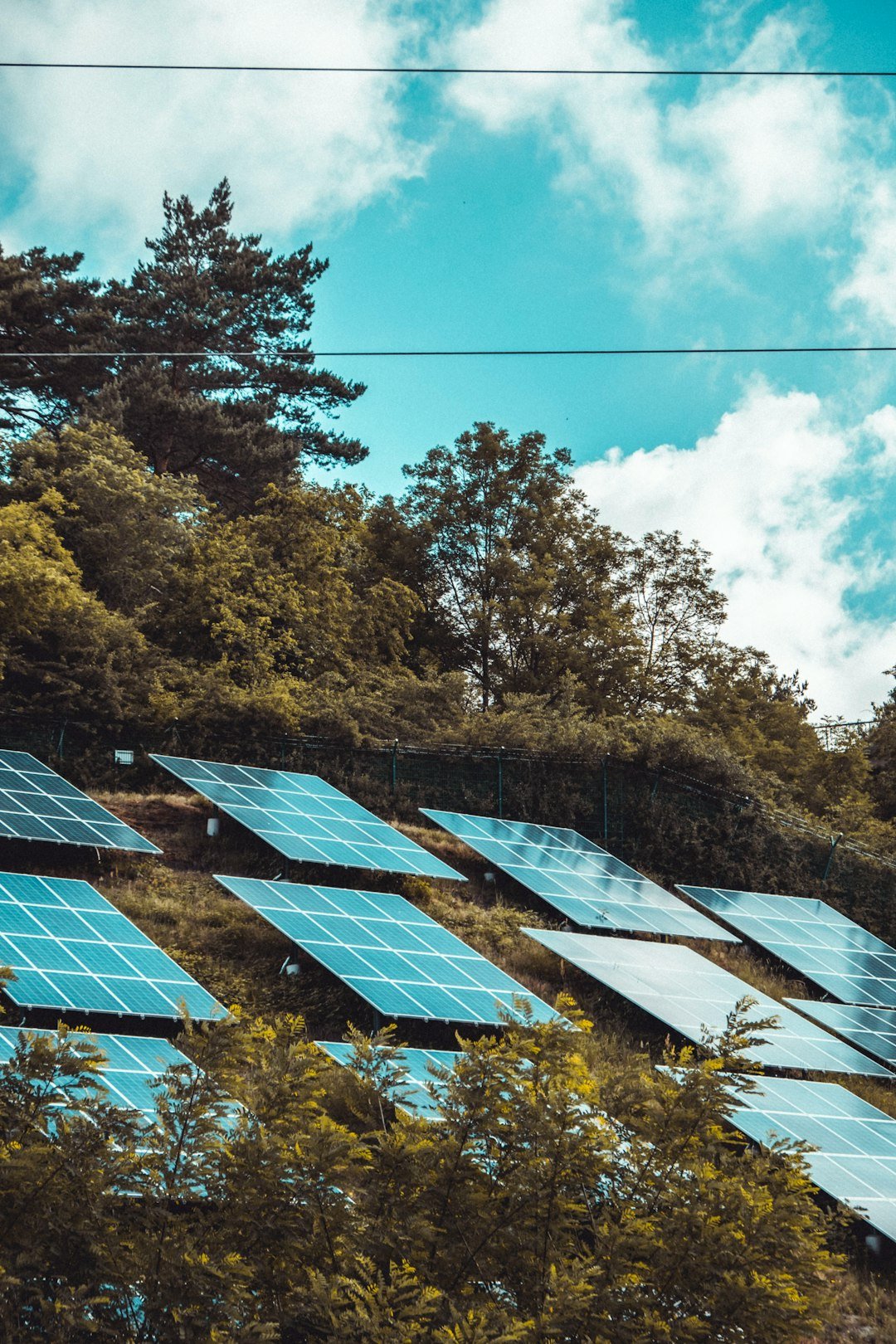 Services solar-panels-on-green-grass-field-gd8io0e4ozm